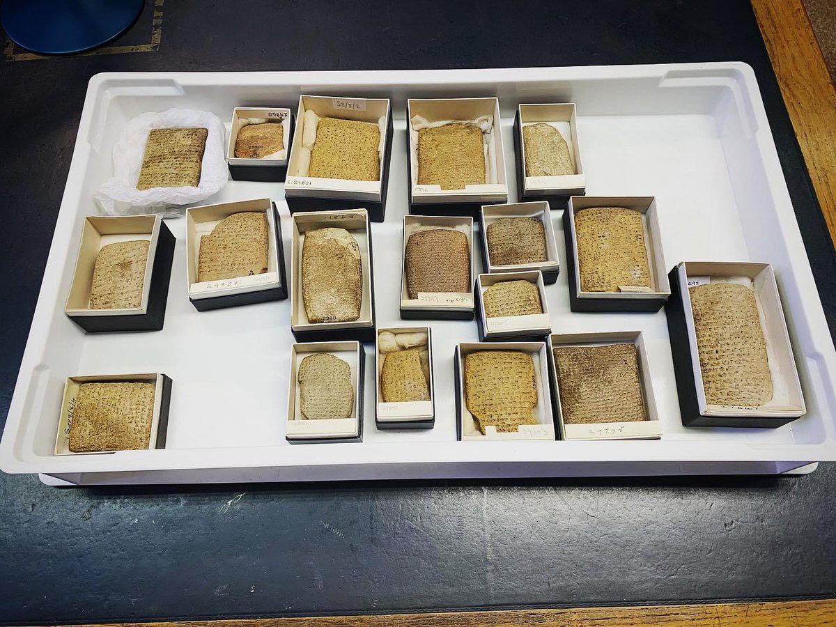 KeleeSiat's tweet photo. Around this time last year this was my view! The Amarna Letters. @britishmuseum
#throwbacktuesday #amarnaletters #amarnacorrespondence #diplomacy #diplomatictexts #womenanddiplomacy #ancienttexts #artefacts #objecthandling #ancientwriting #ancientletters #claytablet https://t.co/S90CYw1GP4