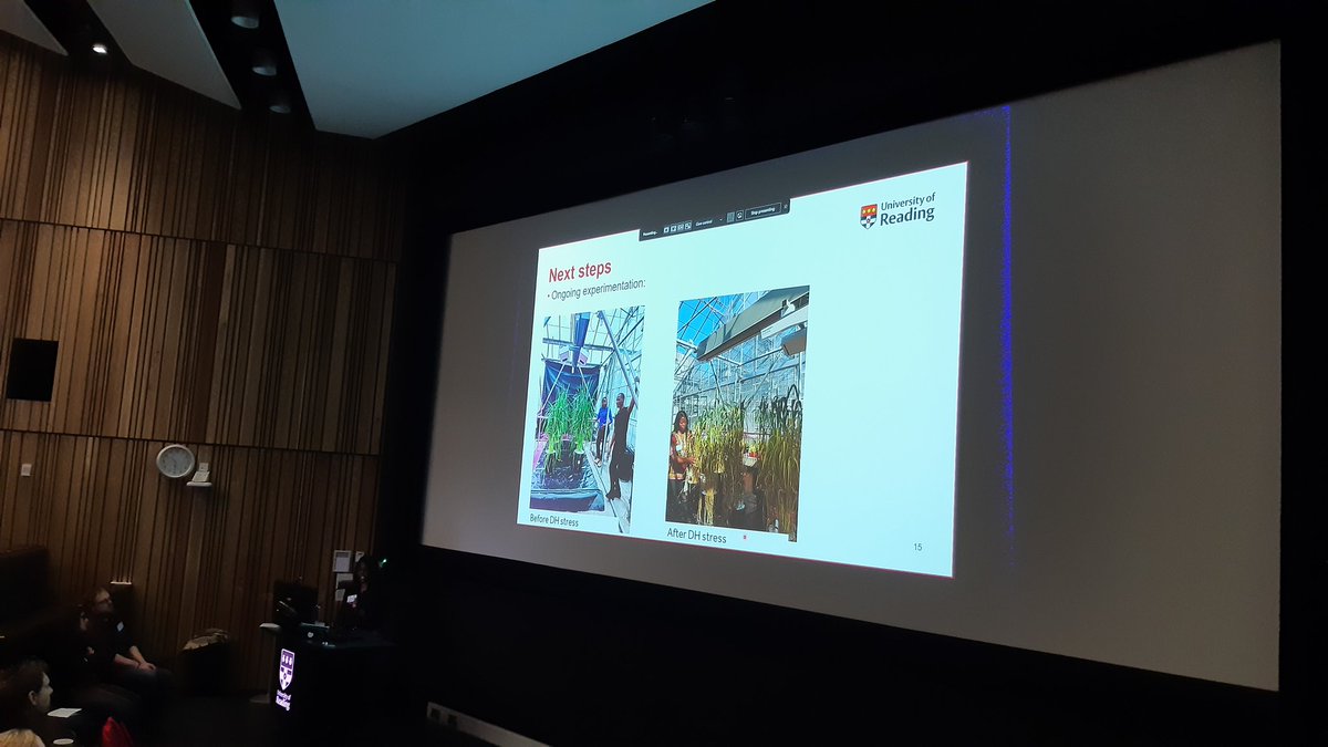 CathPlantSci's tweet photo. Also tackling our changing /challenging climate: waterlogging in #barley at Uni of Dublin and combined drought + heat in #wheat at @UniofReading #Monogram2023 https://t.co/lUQtuL4bEi