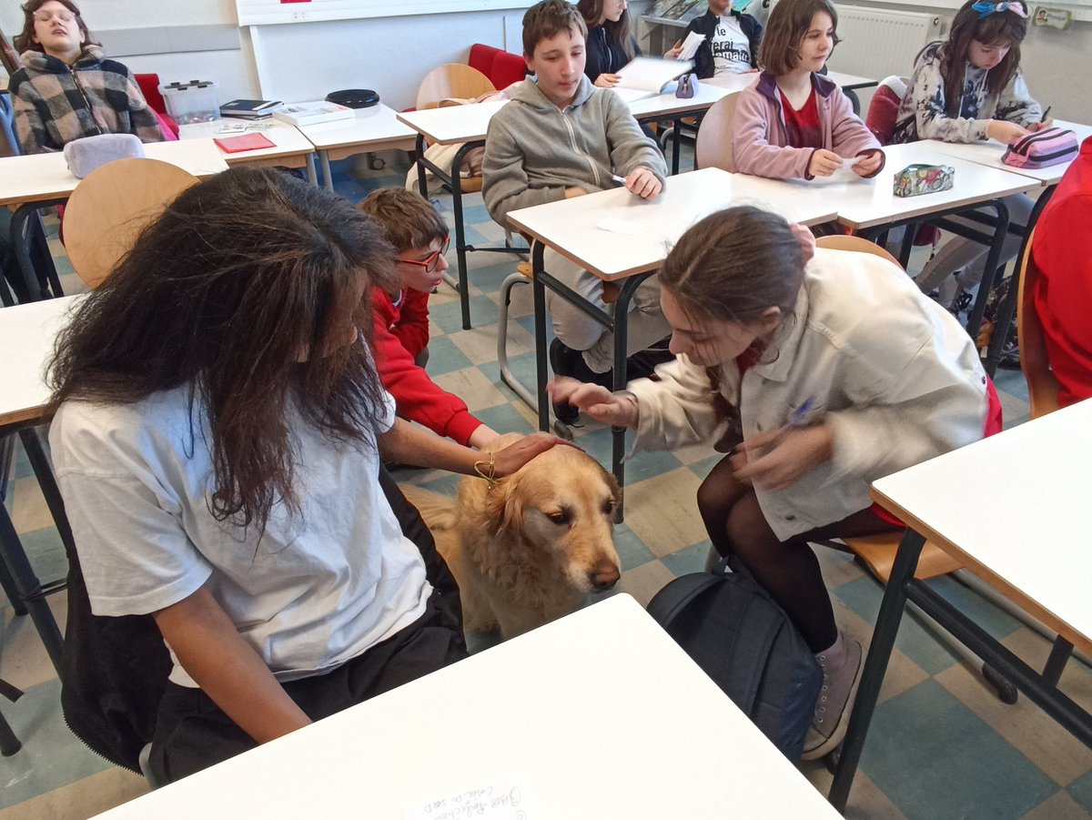 EREA-LEA Françoise Dolto (79) tweet media