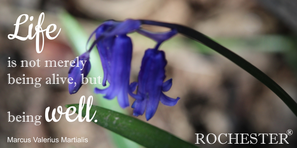 Gingerholics's tweet image. Life is not merely being alive, but being well.
Marcus Valerius Martialis
#quoteoftheday #quotes #springhasarrived 
#healthylifestyle #bluebells