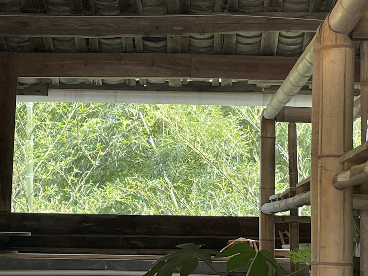 金木 (@jinmu1830889727) on Twitter photo 