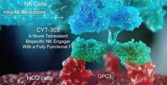 tribepublic's tweet photo. Cytovia Therapeutics R&amp;D Team Publishes Preclinical Data for its #GPC3-Targeted Flex-NK™ Bispecific #Antibody for #HCC in the Cells MDPI Journal

Read more about how these results warrant clinical investigation of our CYT-303 antibody below: https://t.co/tmLU1MpFyO

#NKcells https://t.co/mFfsNVXy1m