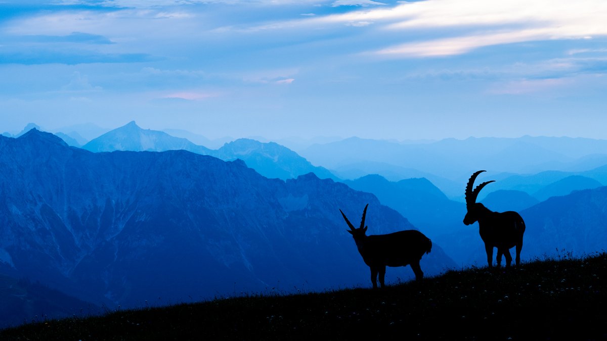 Hun_Nat_Museum's tweet photo. Magical Hungary 2022 Nature Photography Awards Ceremony
Best nature photographer to receive the Grand Prix of the 14th Magical Hungary Contest in the Hungarian National Museum on April 4th. The Awards Ceremony will also be the opening of the exhibition. https://t.co/tZx8BfZXxi