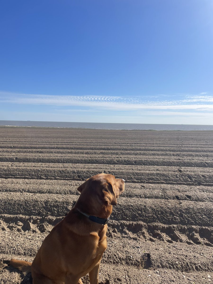 Harriet Bateman tweet media