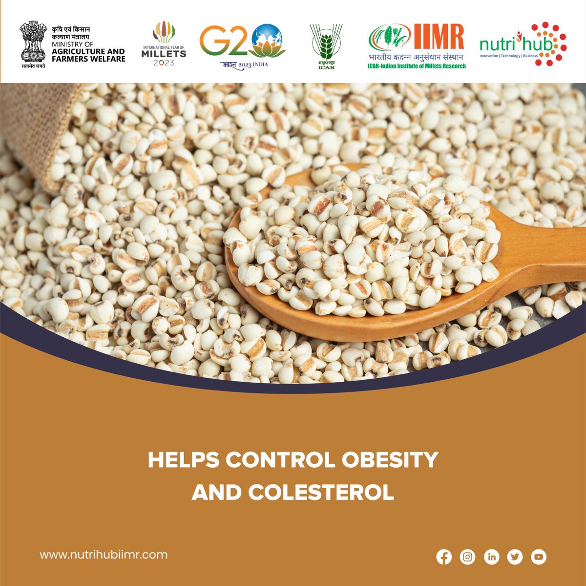 NUTRIHUB (@nutrihubtbi) on Twitter photo 🌱 Why grow Millets?
✔️ They are low-maintenance and drought-resistant crops.
✔️ They are a good source of minerals like iron, zinc, and calcium.
<a href="/mygovindia/">MyGovIndia</a> <a href="/iym2023/">International Year Of Millets 2023</a> <a href="/agrigoi/">Agriculture INDIA</a> <a href="/icarindia/">Indian Council of Agricultural Research.</a> <a href="/nutrihubtbi/">NUTRIHUB</a> <a href="/DR_DAYAKARRAO/">Dr Dayakar Rao CEO, Nutrihub, ICAR-IIMR</a>
#nutrihub #milletdish #milletreceipes #milletsindia 🌱 Why grow Millets?
✔️ They are low-maintenance and drought-resistant crops.
✔️ They are a good source of minerals like iron, zinc, and calcium.
<a href="/mygovindia/">MyGovIndia</a> <a href="/iym2023/">International Year Of Millets 2023</a> <a href="/agrigoi/">Agriculture INDIA</a> <a href="/icarindia/">Indian Council of Agricultural Research.</a> <a href="/nutrihubtbi/">NUTRIHUB</a> <a href="/DR_DAYAKARRAO/">Dr Dayakar Rao CEO, Nutrihub, ICAR-IIMR</a>
#nutrihub #milletdish #milletreceipes #milletsindia