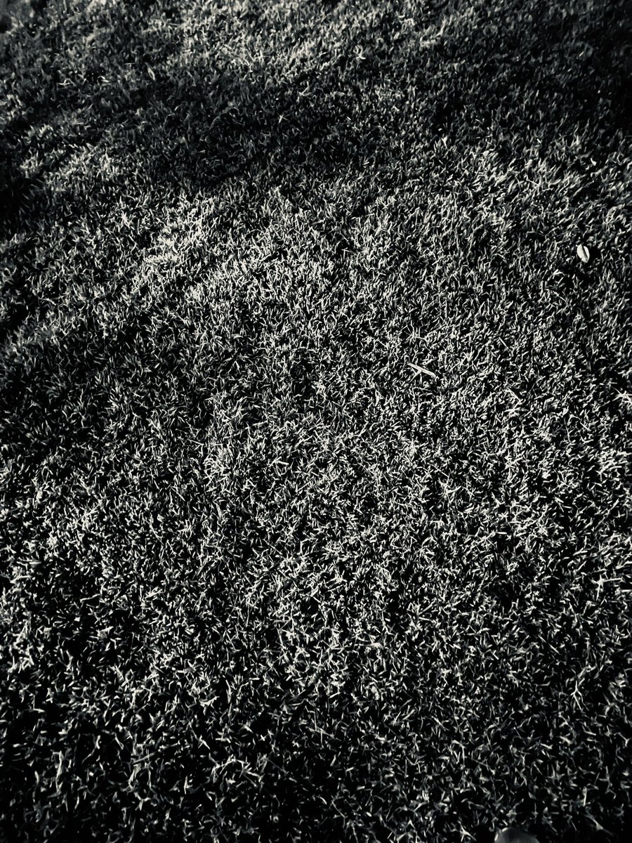 cjgent86's tweet photo. This is my grass. There are many like it, but this swatch is mine. #0445club #DisciplineEqualsFreedom #Muster016 #getsome #GOOD https://t.co/1EGbzSdCk8