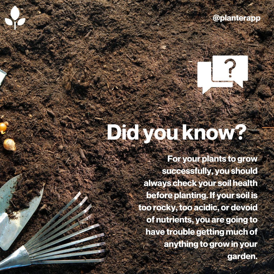 PlanterApp's tweet photo. Soil plays a big role in whether or not your plants grow and grow well.🥕🫑
For your plants to grow successfully, you should always check your soil health before planting.👩🏻🌾

You can read the full blog post here https://t.co/byd2FDHBon 🔗

#vegetablegarden #gardening https://t.co/vytJua8k2L