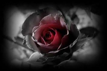 Lucis 🌑 tweet media