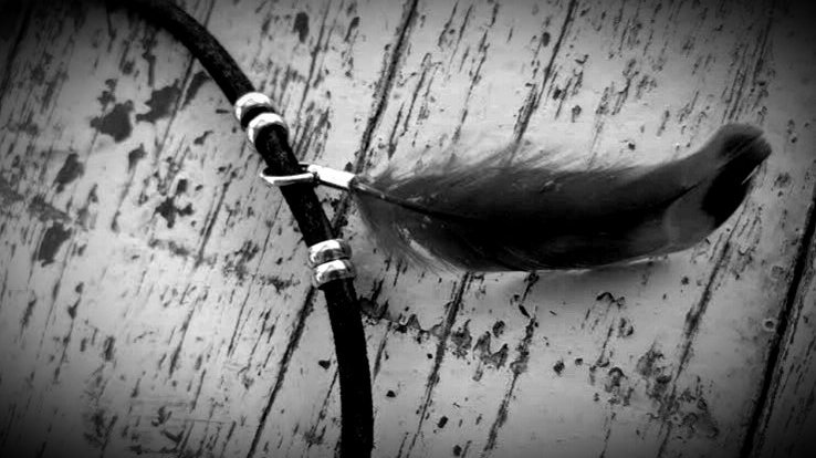 Lucis 🌑 tweet media