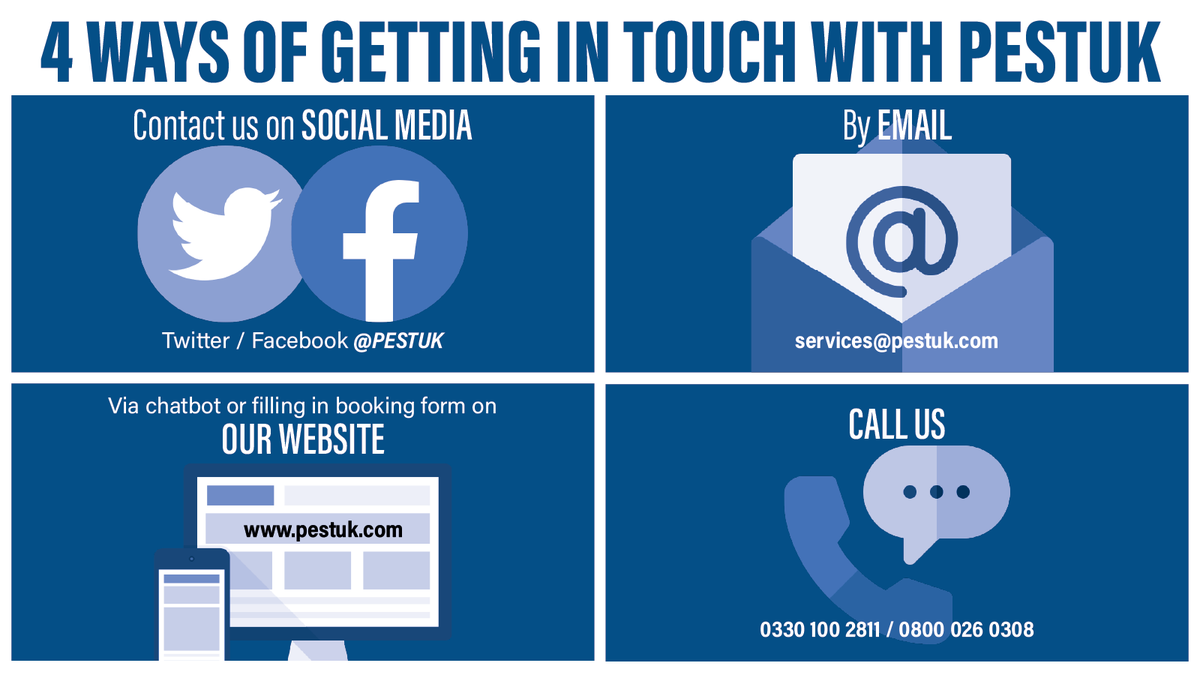 pestuk's tweet photo. Pest issues are frustrating and we are the professionals to help. Below are the ONLY WAYS to get in touch with our insured and trusted services.

Website: https://t.co/shiRuZkHxY
Email: services@pestuk.com
Phone: 0330 100 2811
Twitter / Facebook: @PestUk

#pestcontrol https://t.co/CtnK8KlEPc