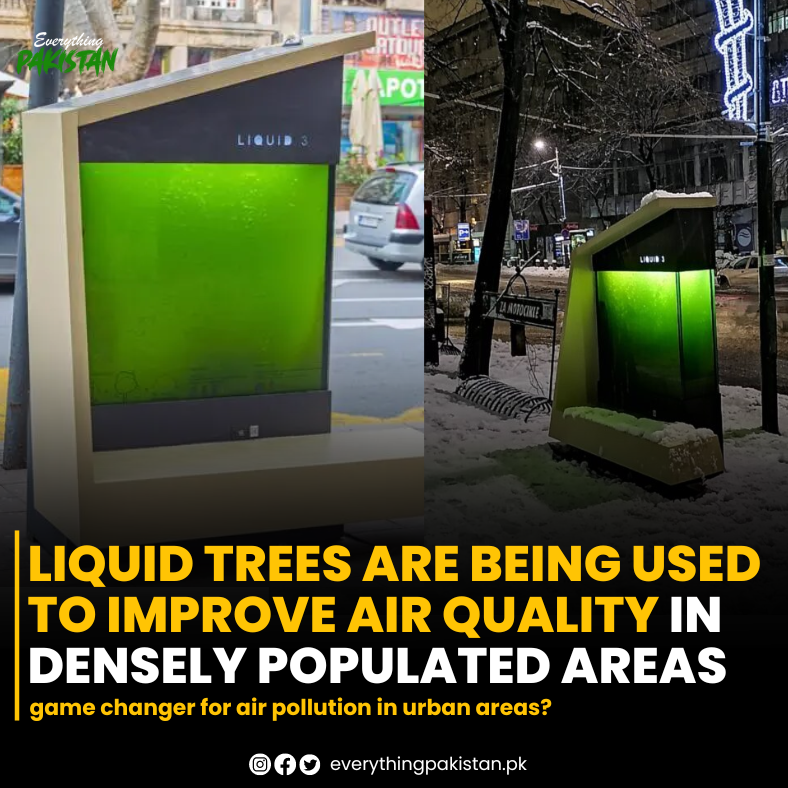 Everythingpk01's tweet image. Serbia&apos;s first liquid tree installed to combat air pollution. 600 liters of water and microalgae bind carbon dioxide and produce pure oxygen through photosynthesis

#serbia #liquidtree #liquid3 #tree #airpollution #trees #photosynthesis #microalgae #Pakistan #everythingpakistan