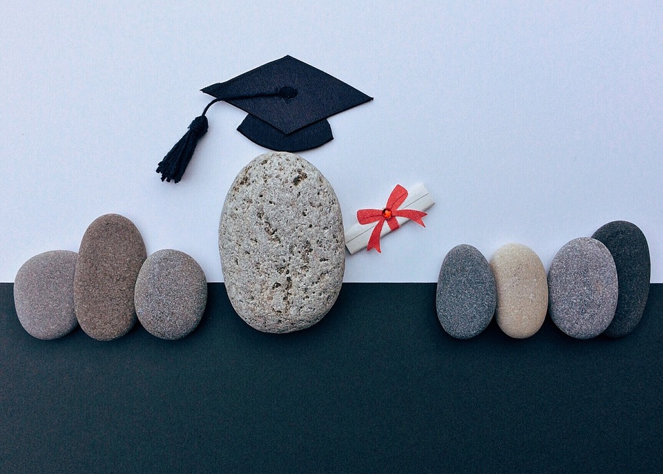 Quels sont les métiers les plus demandés en France par les diplômés et les non diplômés ? - surlenuagedelexou.fr/2023/04/quels-…