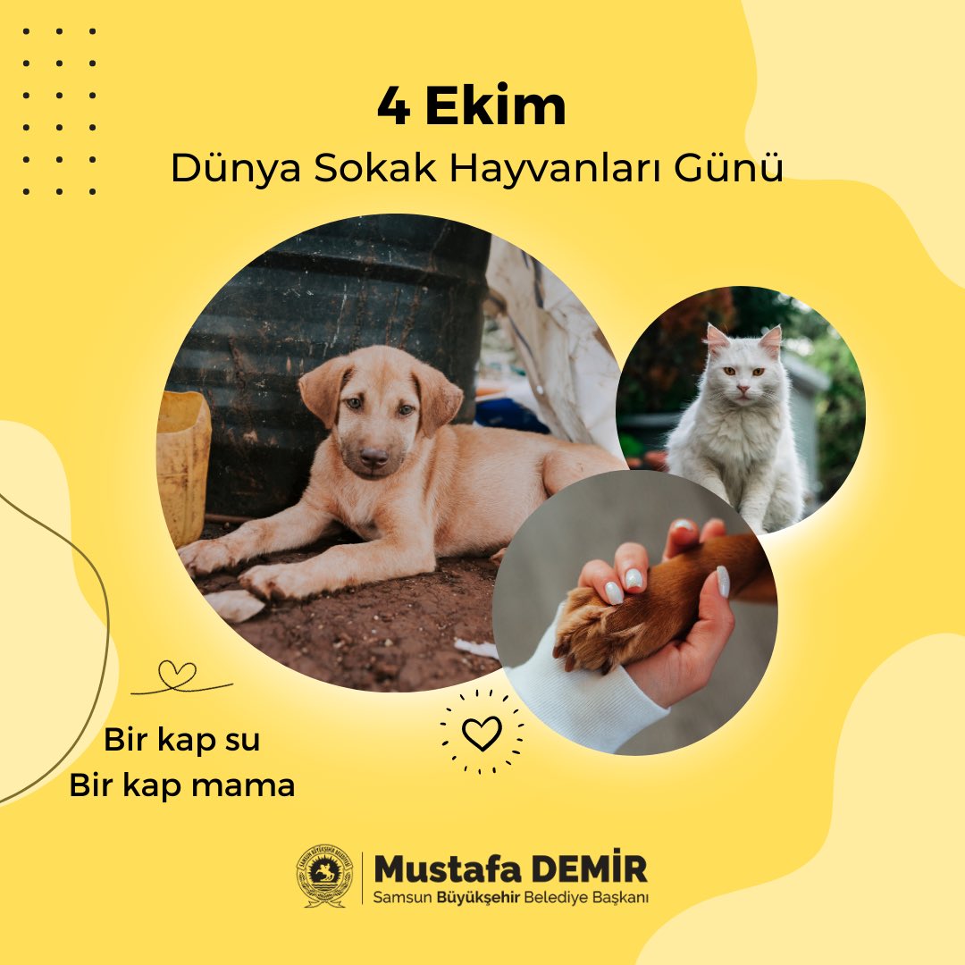 Mustafa Demir