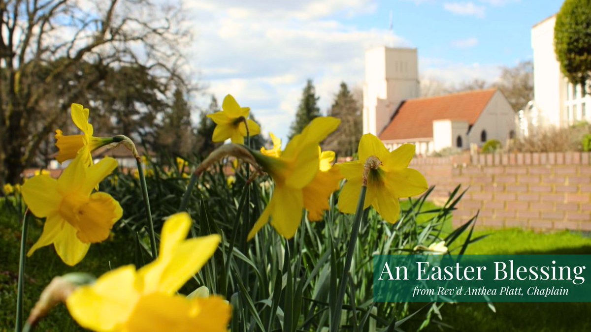 DHChapel's tweet photo. As Christians around the world celebrate Jesus' resurrection and sing "He is risen!", we pray for Healing and Peace for all our communities. 
On this #Easter day, may you, your families and loved ones know in a new way that presence and blessing of Hope and Love. - Rev'd Platt https://t.co/Mg4mXHSZrp