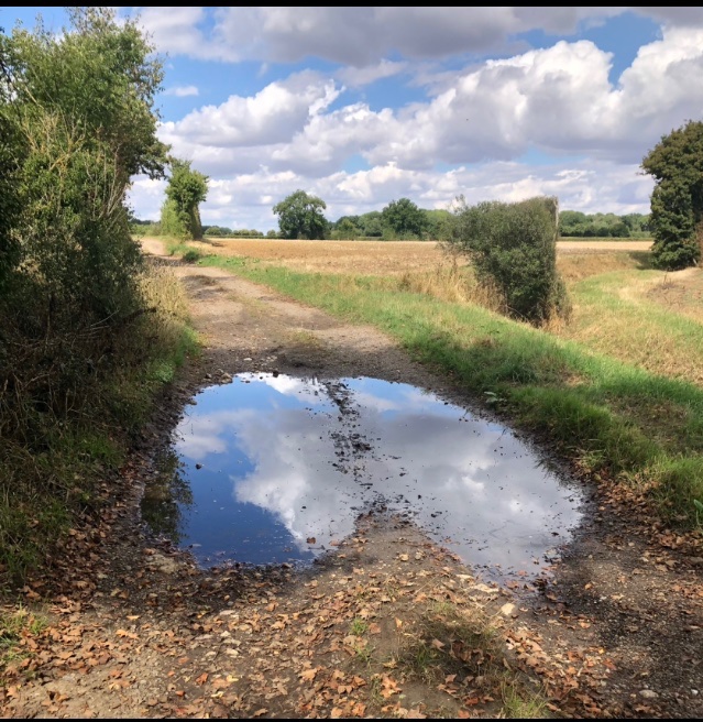 companyofrunner's tweet photo. 1 May: what better way to spend Bank Holiday Monday than drinking cider in an orchard @BigBearCider after running or walking 6 glorious countryside miles. New route.
https://t.co/ww8aiDrxXS  #trailrunning #6miles #stisted #essex https://t.co/jg6Ad2trxV