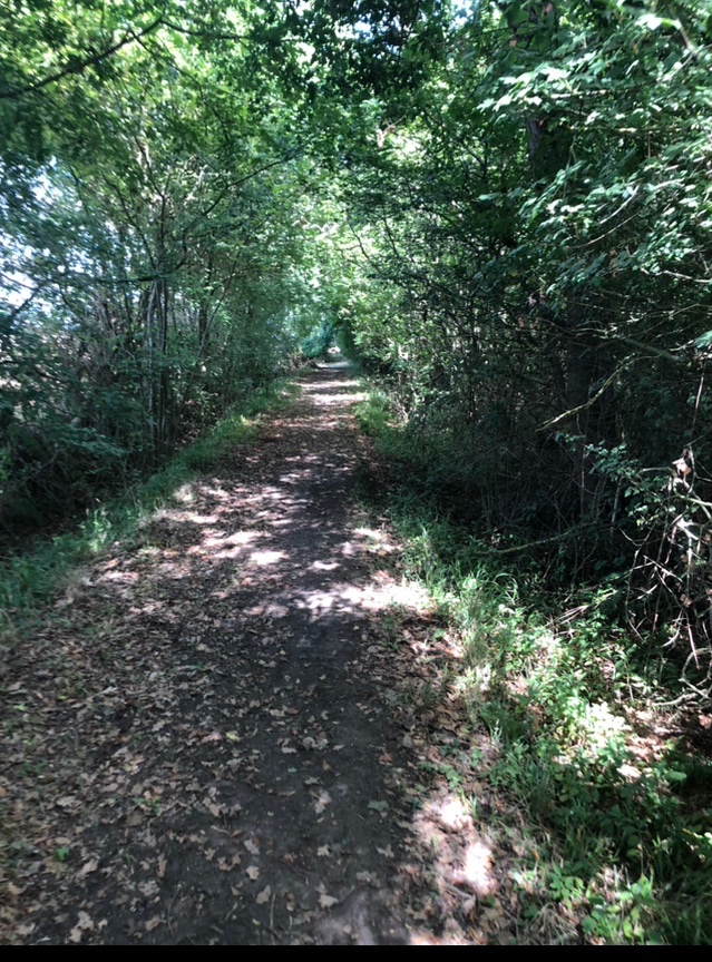 companyofrunner's tweet photo. 1 May: what better way to spend Bank Holiday Monday than drinking cider in an orchard @BigBearCider after running or walking 6 glorious countryside miles. New route.
https://t.co/ww8aiDrxXS  #trailrunning #6miles #stisted #essex https://t.co/jg6Ad2trxV