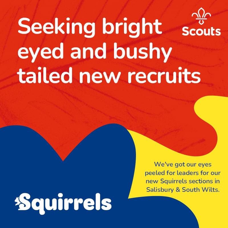 The Scouts: Salisbury & South Wilts tweet media