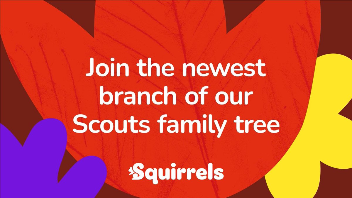 The Scouts: Salisbury & South Wilts tweet media