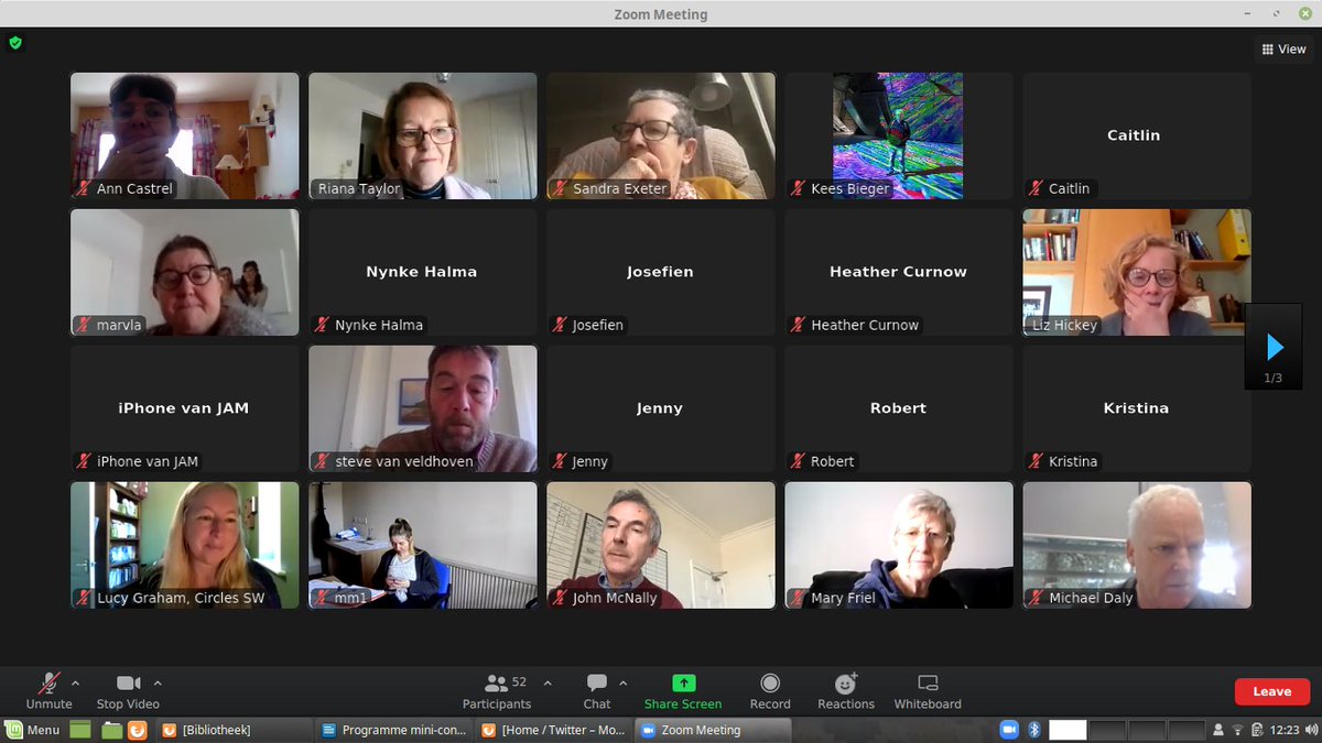 Sharing experiences of being a Circles volunteer in the various European countries