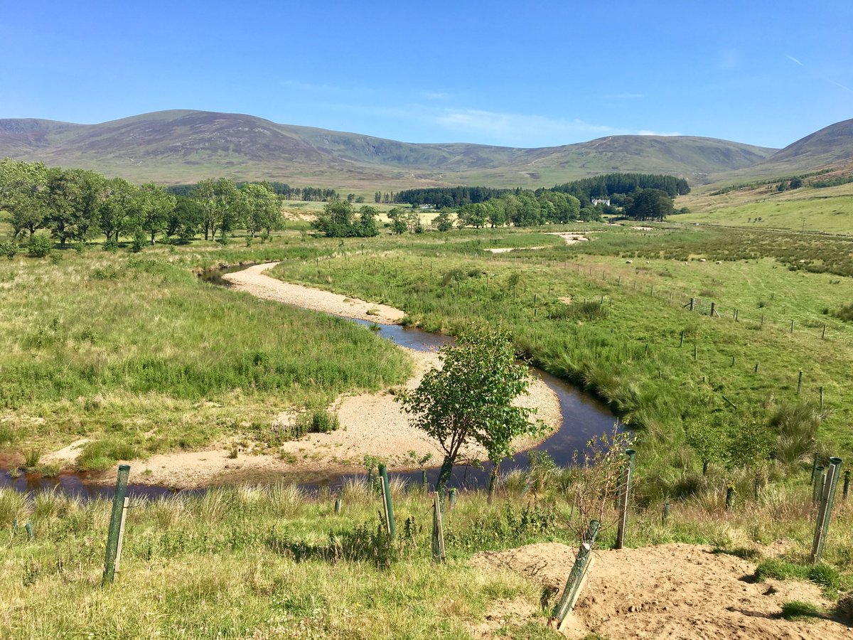 UK River Prize (@ukriverprize) on Twitter photo (4/4) Restoring the Rottal Burn project, Rottal Burn, River South Esk, Scotland has been recognised for process-based channel restoration to a more natural meandering channel. Congratulations to everyone involved @southesknews <a href="/AbertayUni/">Abertay University</a>
#UKRiverPrize
restorerivers.eu/wiki/index.php… (4/4) Restoring the Rottal Burn project, Rottal Burn, River South Esk, Scotland has been recognised for process-based channel restoration to a more natural meandering channel. Congratulations to everyone involved @southesknews <a href="/AbertayUni/">Abertay University</a>
#UKRiverPrize
restorerivers.eu/wiki/index.php…