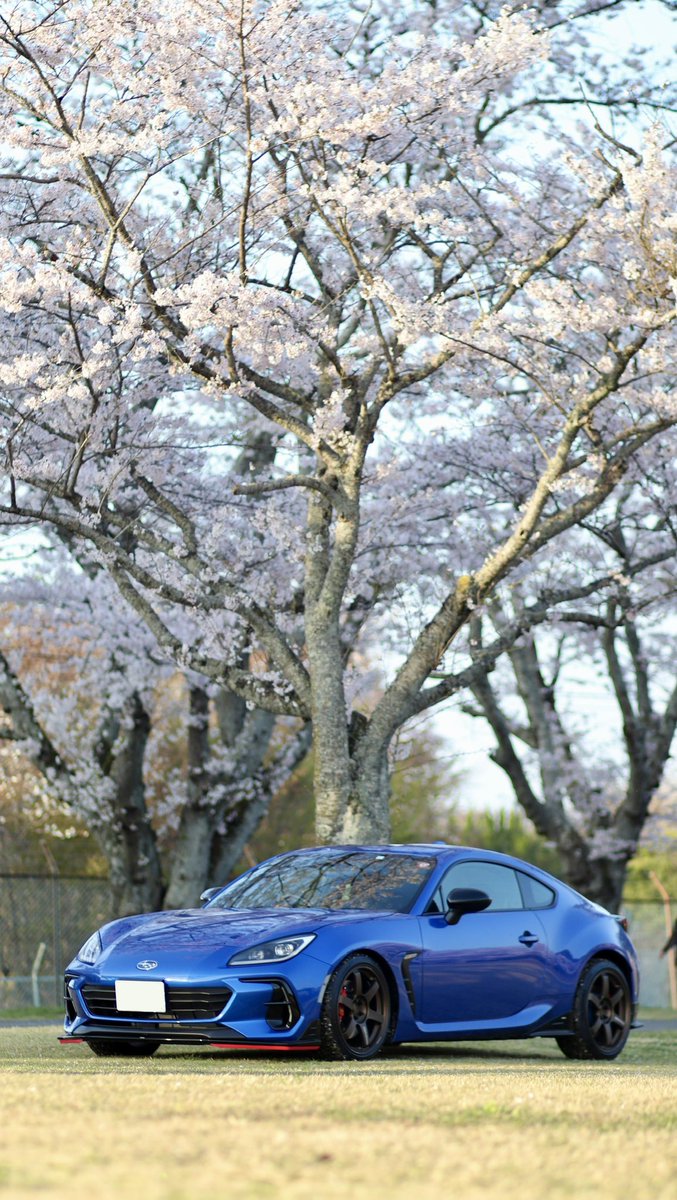愛車と桜🌸

たくさんの桜にたくさんのタグを添えて。

 #TLを桜でいっぱいにしよう
 #愛車と桜 
 #SUBARUと桜 
 #愛車と桜のコラボ写真を載せて5RTを目指せ