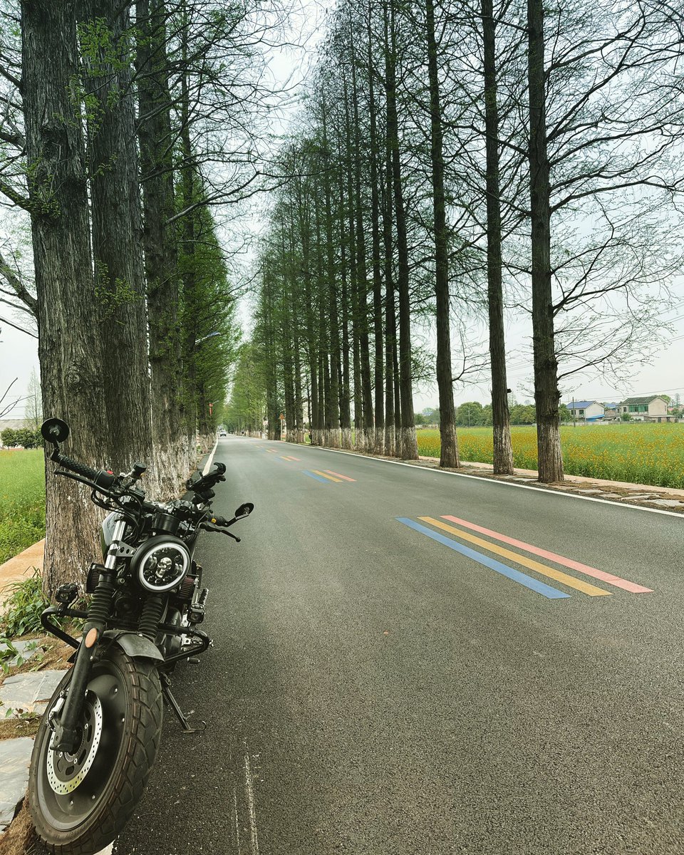 __shouge__'s tweet image. 周末一个人骑车在乡间的小路上  非常舒服 #湖南省 #摩托车