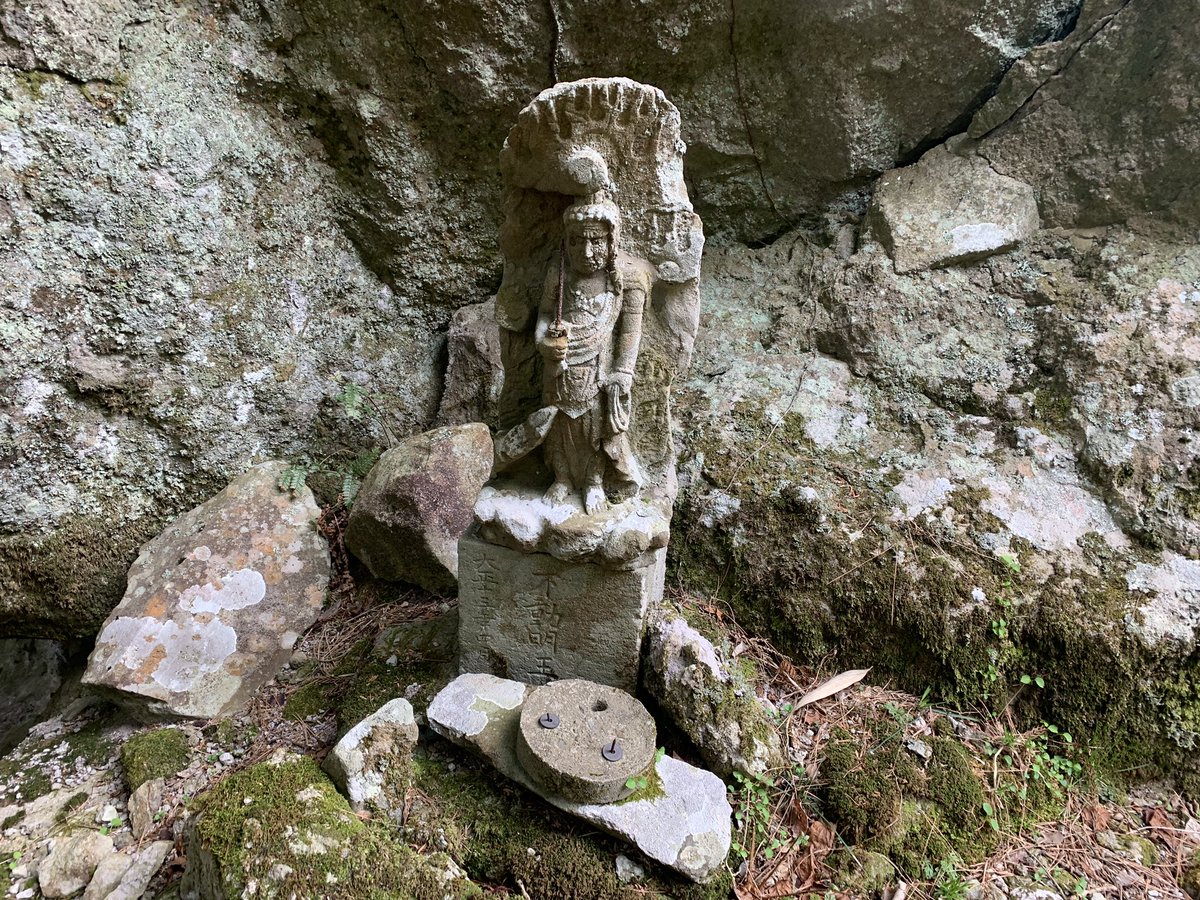 2019tobytobs's tweet photo. 午後2時半を過ぎてからになっちゃったけど、尾根歩きを兼ねて天狗の鼻に登れた〜✨😊

英彦山の尾根は素晴らしい✨🤗 https://t.co/t8GNO7SiFj