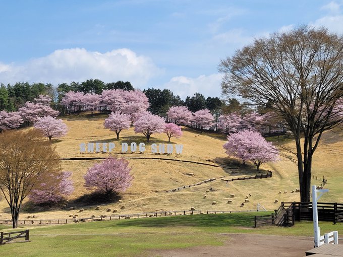 「野外 公園」のTwitter画像/イラスト(新着)