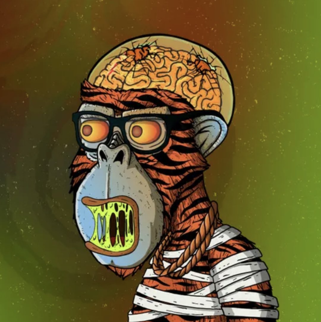 MonkeyOfAnarkey's tweet photo. Today we supported the @BDMNFT_ project with these 4 NFTs. 

1 Gen1 Monkey and 3 Gen2 Monkeys.

Because monkeys stand stronger together 🫶🏻

These NFTs will be added to our Treasury pool/wallet ✌🏻

#MonkeyOfAnarkey #cro #crofam #FFTB #CronosNFT https://t.co/E5pRGKOMMN