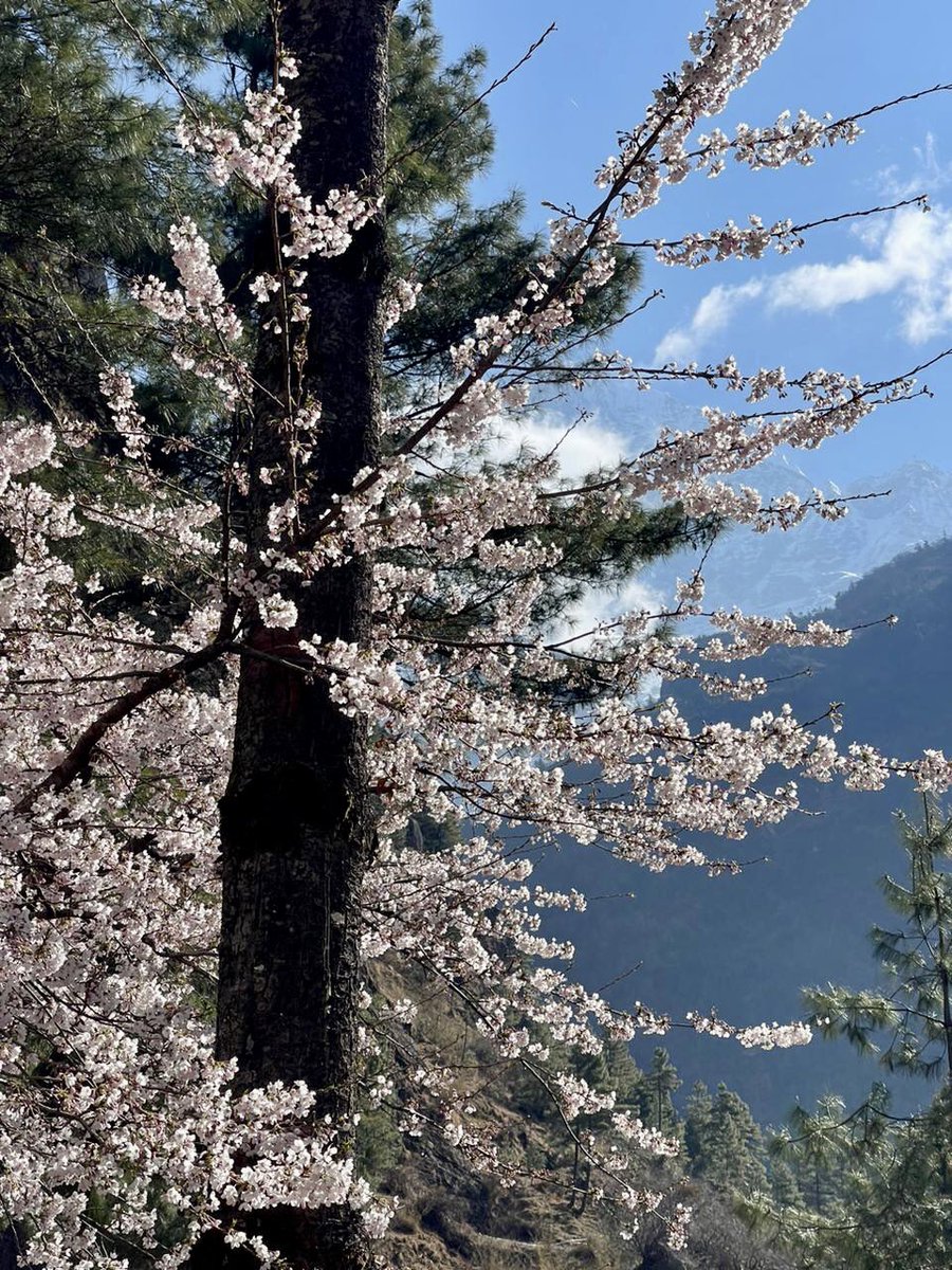 Arrancando una nueva expedición al Everest 🏔️🇳🇵 Ya estamos en Namche Bazaar! 

#CTSS #Himalayas #Khumbu #Everest #Everest2023 

📷: instagram.com/tcexpeditions?…