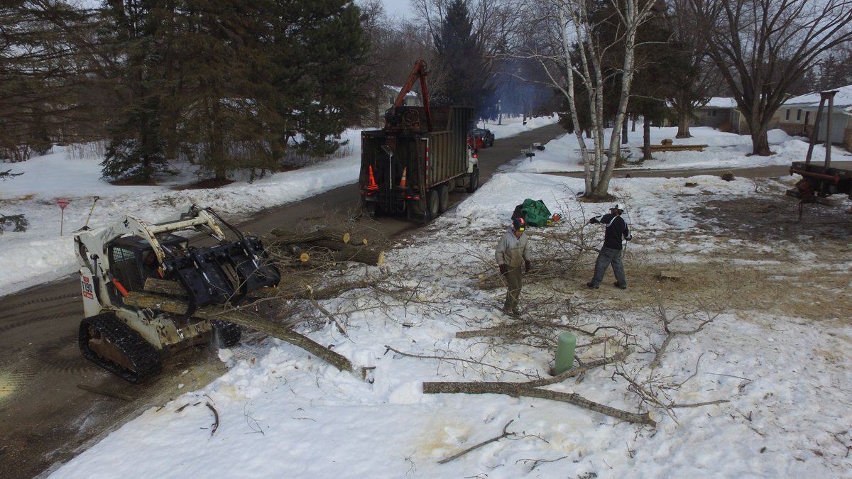 utrees_mpls's tweet image. Clean-up is one of the most important responsibilities of any professional arborist. We have the equipment to make the job quick and easy.

#UrbanTree
#Arborist
#ArboristAtWork
#Timber