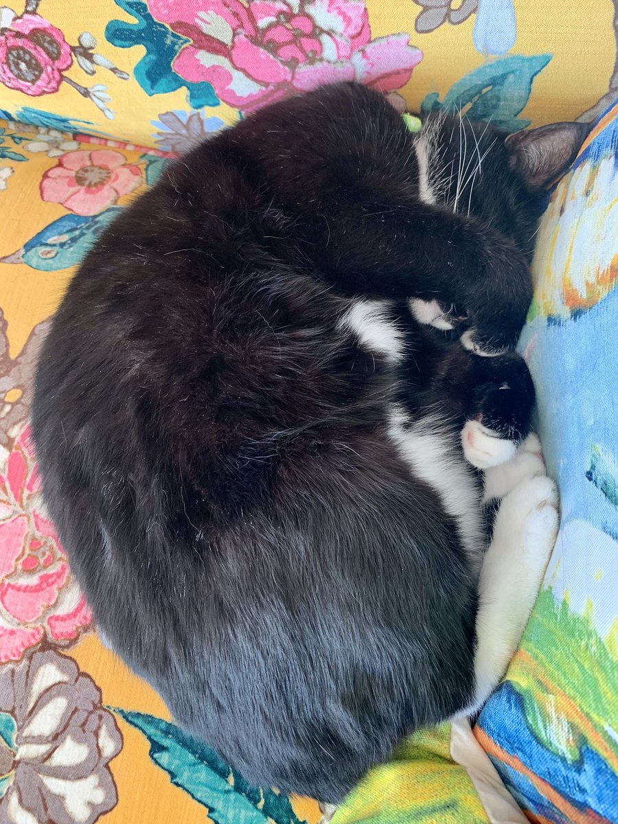 I can't be doing with any of you today.