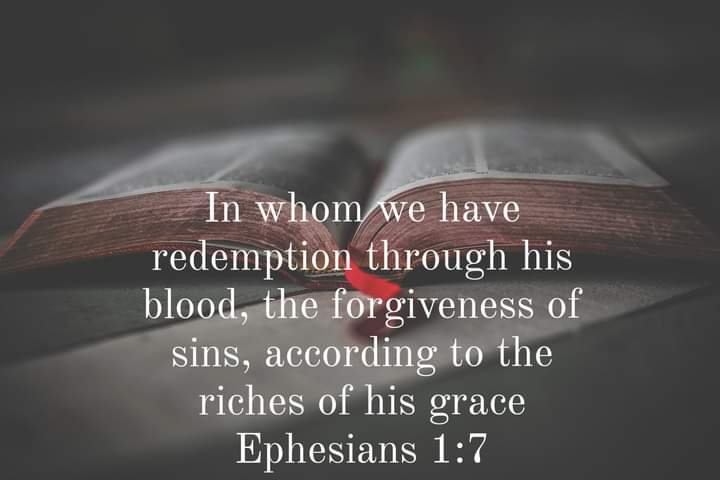 Tracy Killinger 🇺🇸 tweet media