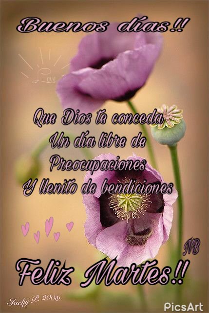 elgabo1996's tweet photo. #SemanaMayorEnAmor
Bendecido martes 😊😊
@Mippcivzla 
@NicolasMaduro https://t.co/NLaSRZybQ7