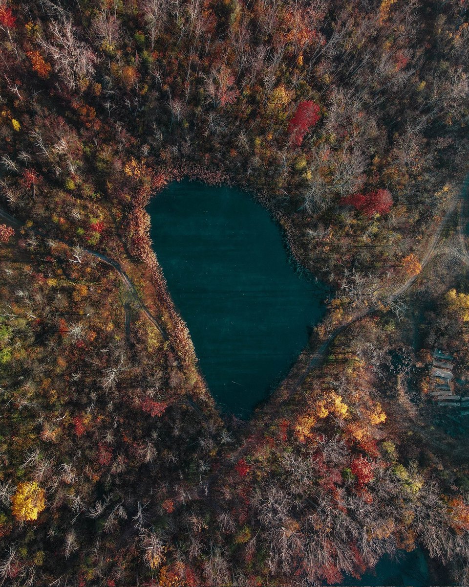 Topdown👑.eth tweet media