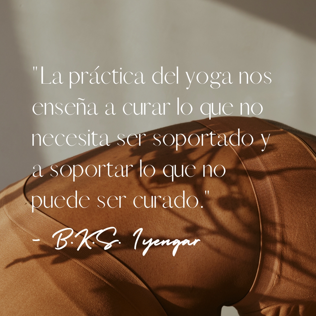 YogaYe's tweet photo. ¿Sabías que la práctica del yoga va más allá de los movimientos físicos? 🤔 Es una conexión profunda entre tu cuerpo y mente, que te ayuda a encontrar calma y equilibrio en tu día a día.⁣

#yoga #conexión #pazinterior #equilibrio #bienestar #quoteoftheday #fridaymood #YogaYe https://t.co/dXdRJlsztx