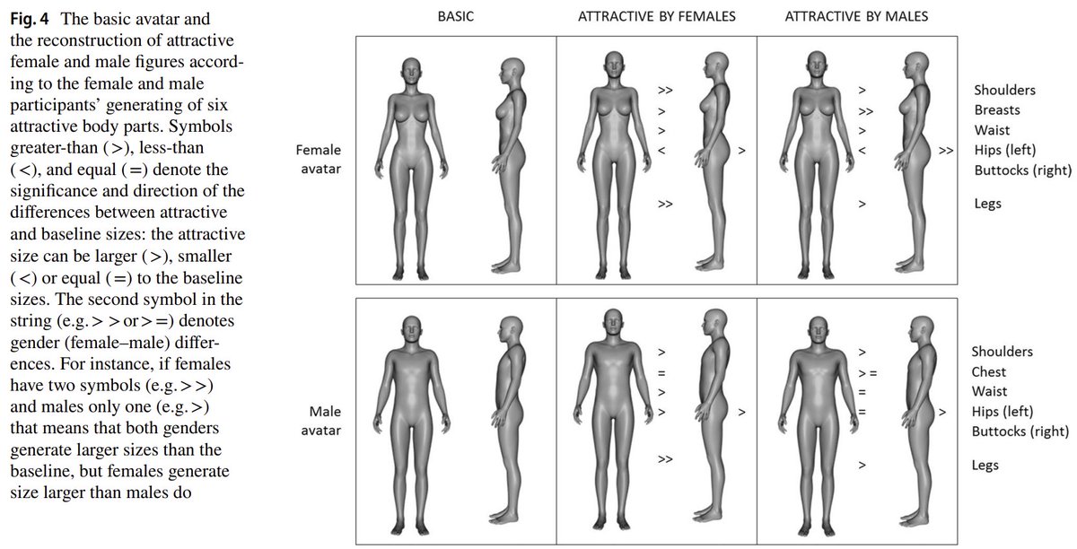 'both genders prefer the physical appearance of female and male bodies which signals health, reproductive/competitive abilities...a moderate tendency toward supernormality...attractive bodies had “sporty” look: supernormally wide shoulders and long legs' link.springer.com/article/10.100…