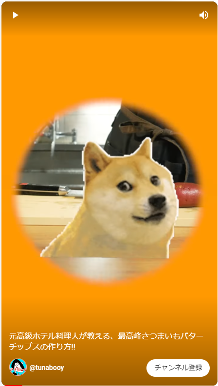 Twitterに突如現れたイッヌ ツナボーイさんのショート動画に登場する