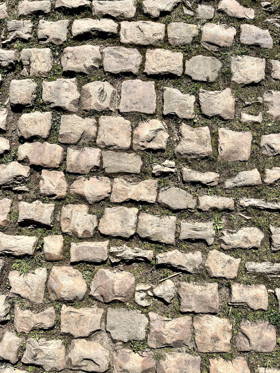 Les Amis de Paris-Roubaix tweet media