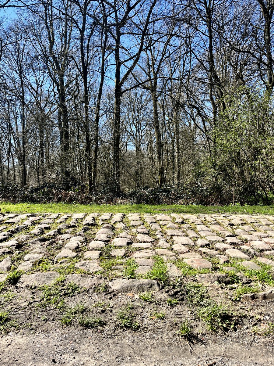 A_ParisRoubaix tweet picture