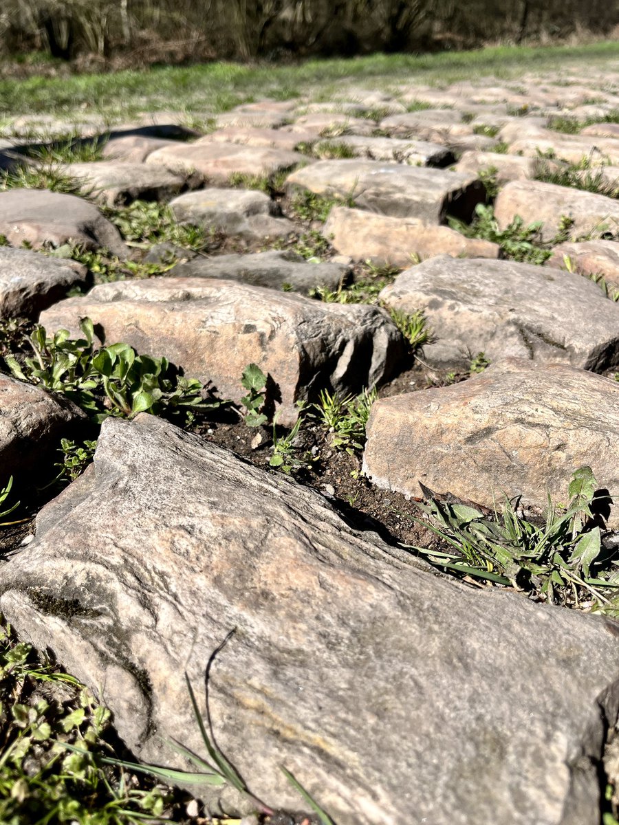 A_ParisRoubaix tweet picture