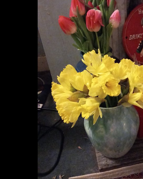 Ronanthomas Kelly’s pics and videos