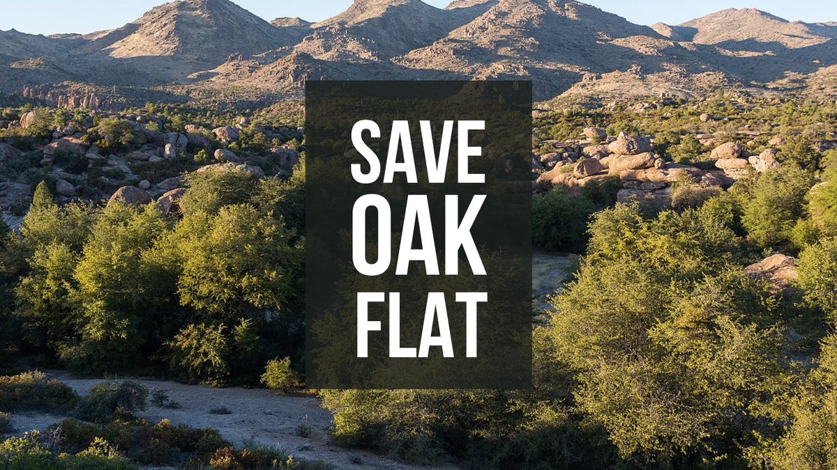 Right now, a foreign-owned mining company is poised to destroy the sacred Oak Flat area in Arizona's Tonto National Forest for good. 

@POTUS must listen to Indigenous voices, stop this land transfer, and #SaveOakFlat now.