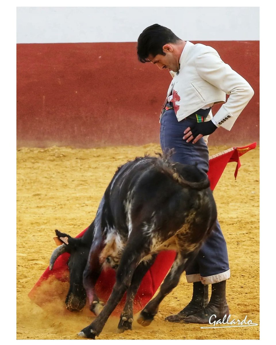 gallardotoros's tweet photo. Hay muñecas donde viven todos los misterios del Toreo...
@aletalavante &amp; CayetanoMuñoz https://t.co/C7g9qZUdUU
