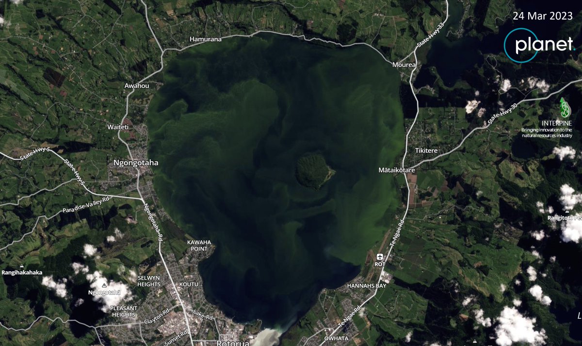 interpine_nz's tweet photo. #Monitoring #water #quality in Rotorua lakes with Interpine's partner at @Planet.  Using 8-Band near-daily #satellite imagery to detect #algae blooms and aid public health warnings. Learn more about #remotesensing for resource management - chat with our team. @PlanetOfData https://t.co/lpWSOU35CL