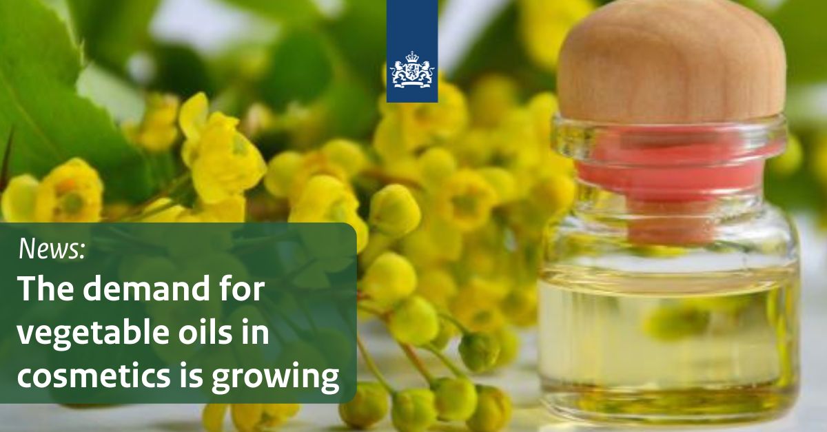 NEWS | Do you know that the demand for vegetable oils in #cosmetics is growing? This offers interesting #opportunities for suppliers.

More information on the benefits of vegetable oils and exporting oil to Europe➡️ bit.ly/3zs5uea 

#naturalingredients #vegetableoil #CBI