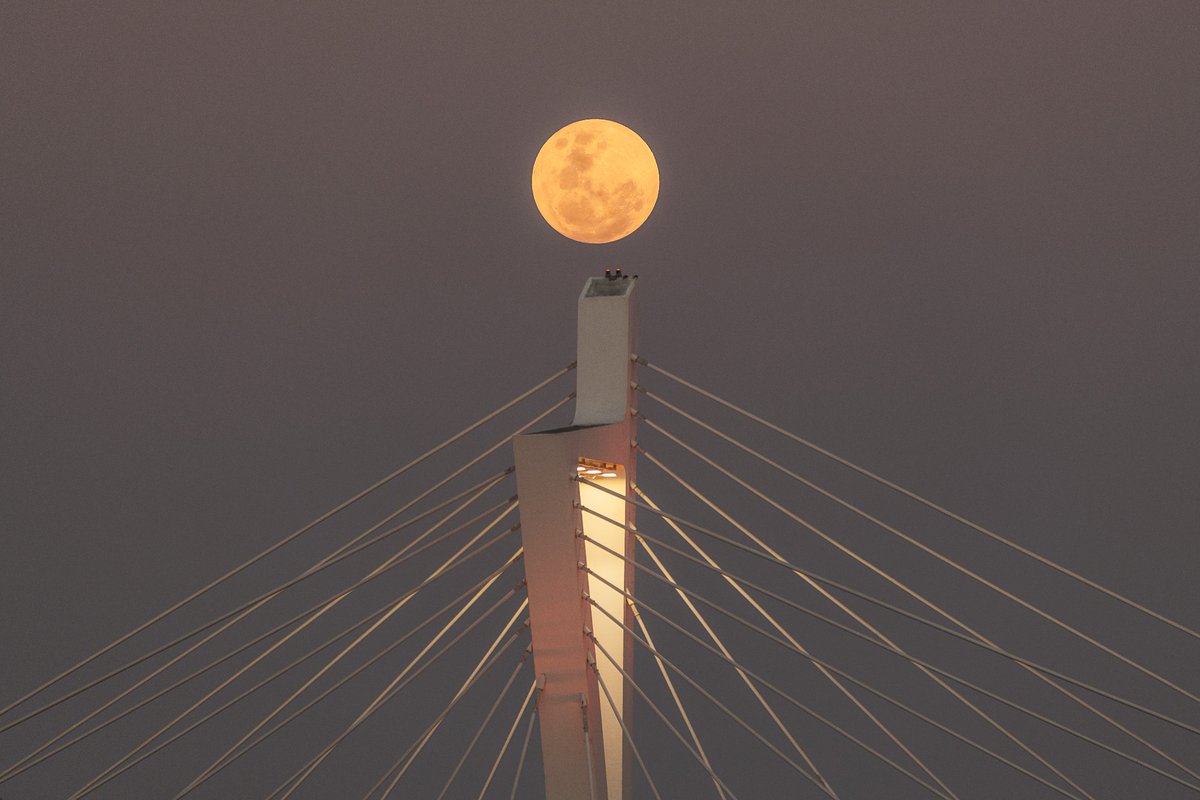 SolSeaNFT's tweet photo. "La Antorcha Lunar" by @EmpowerartNFT artist @igastambide 📸 

Just like the Olympic torch, this photo captured a moment in time. It took over 2 years of planning and perfect timing to get this shot on the day of the Tokyo Olympics! 🌕

#solseanft #nftphotography https://t.co/52mX8F8xFp