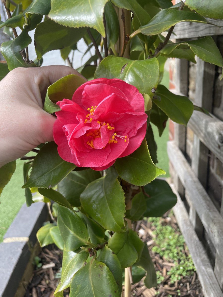 HPA_Philip_Lane's tweet image. Spring has sprung at #HPAPL. A huge thank you to Danni who has made our outdoor area feel like a spring paradise! 🌸