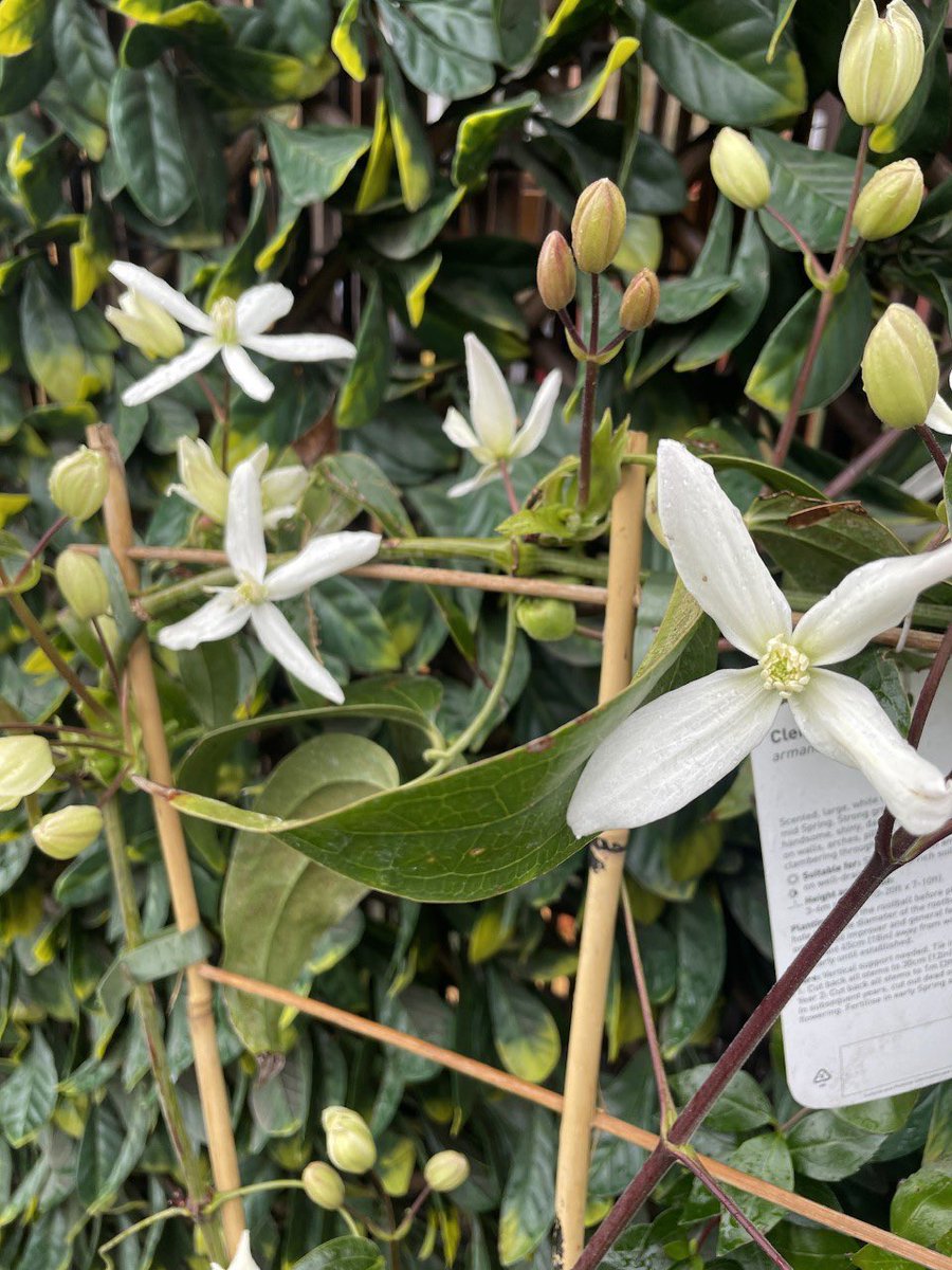 HPA_Philip_Lane's tweet image. Spring has sprung at #HPAPL. A huge thank you to Danni who has made our outdoor area feel like a spring paradise! 🌸