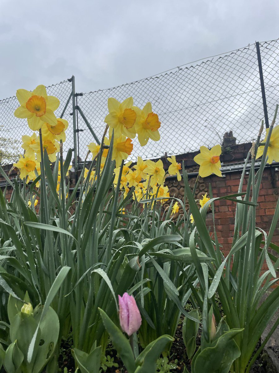 HPA_Philip_Lane's tweet image. Spring has sprung at #HPAPL. A huge thank you to Danni who has made our outdoor area feel like a spring paradise! 🌸